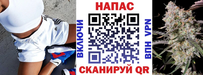 Меф Новоузенск