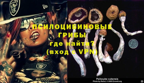 ALPHA-PVP Аркадак