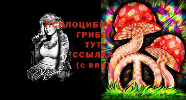 ALPHA-PVP Аркадак