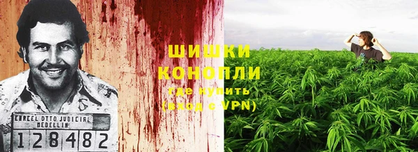 дмт Арсеньев