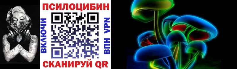 цены наркотик mega зеркало Галлюциногенные грибы GOLDEN TEACHER Новоузенск